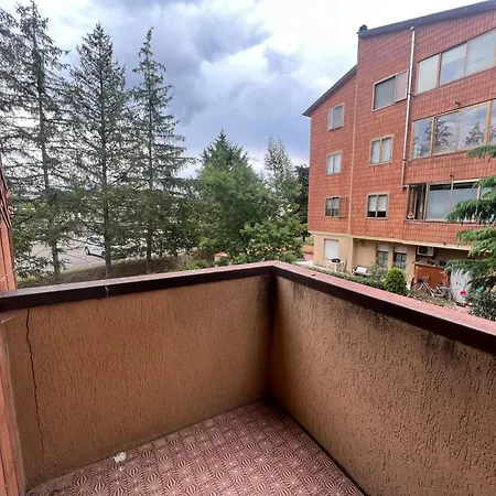 Malpighi 40 * Arezzo